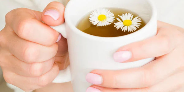 The Science of Calm: How Chamomile in Dream Defender Supports Mental Health