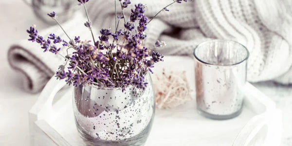 Lavender & The Power of Peaceful Sleep: Natural Calm Backed by Science